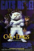 poster from cats & dogs
