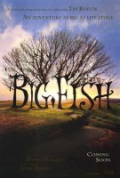 poster from big fish