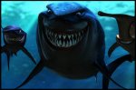 picture from findingnemo/findingnemo