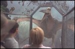 picture from jurassic park iii