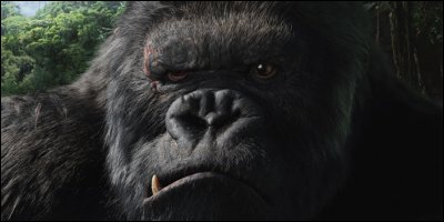 king kong - a shot from the film