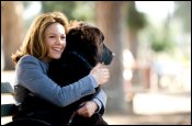 picture from must love dogs