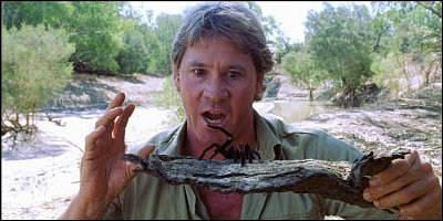 the crocodile hunter - a shot from the film