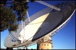 picture from the dish
